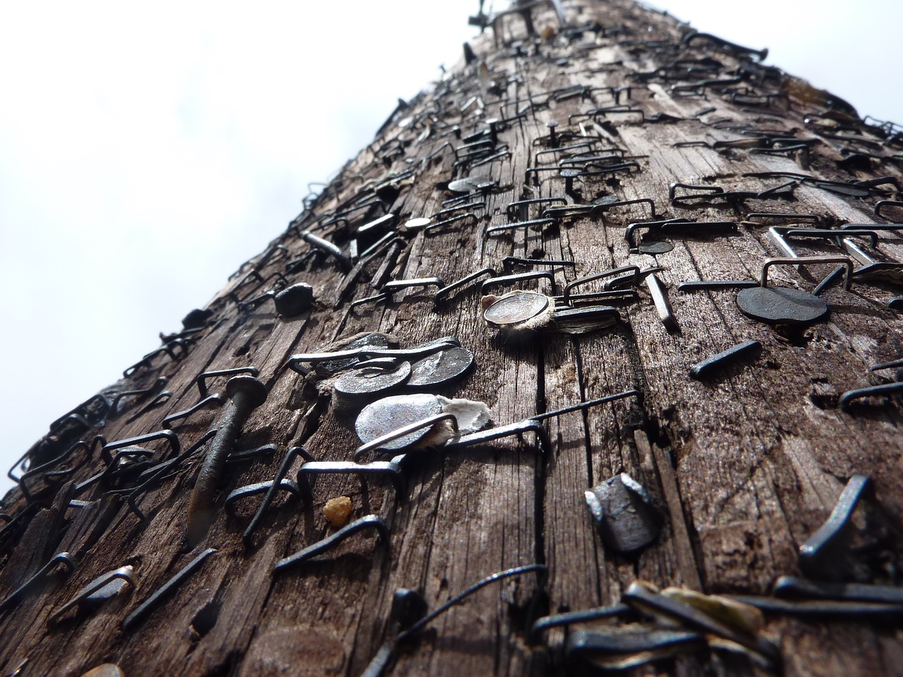 Image - oregon portland wooden poles