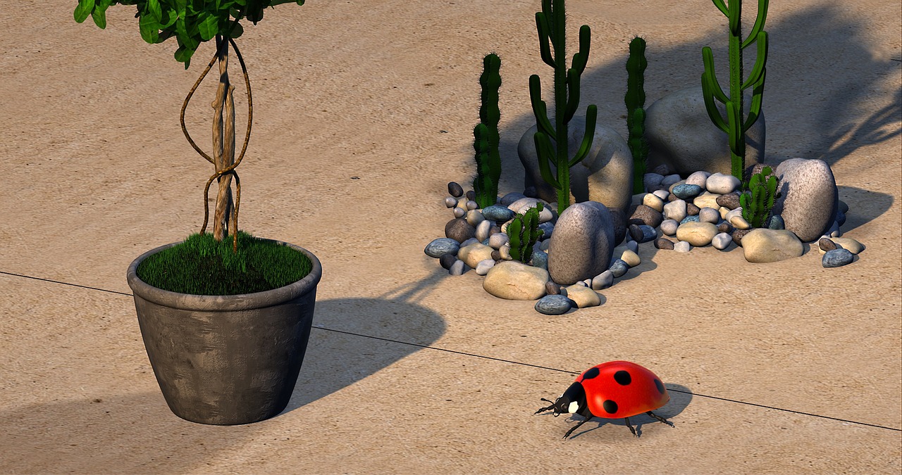 Image - beetle plant cactus garden stones