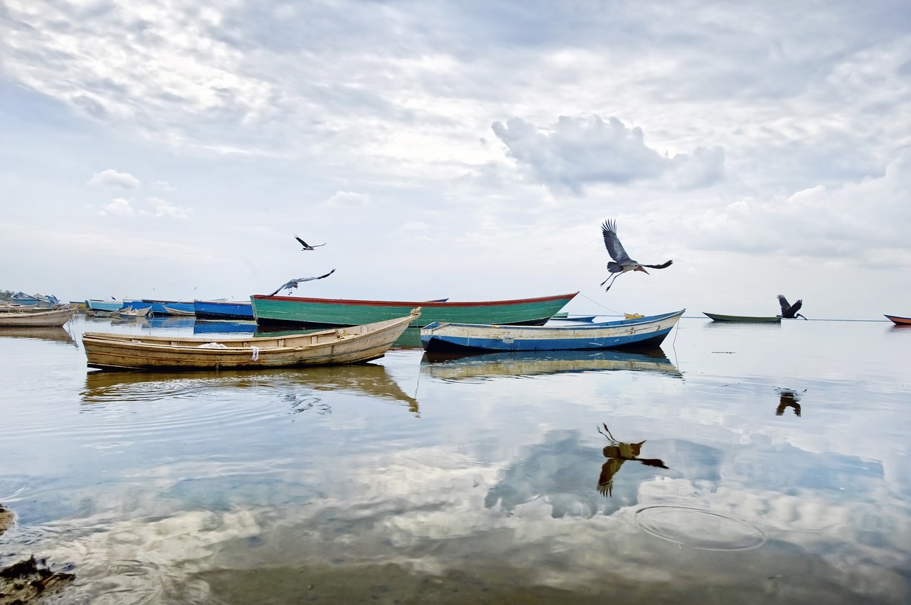 Image - lake albert uganda africa