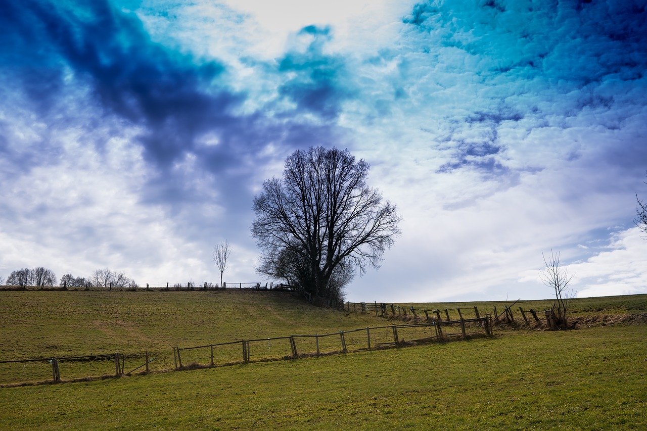 Image - field sky tree nature fence sun