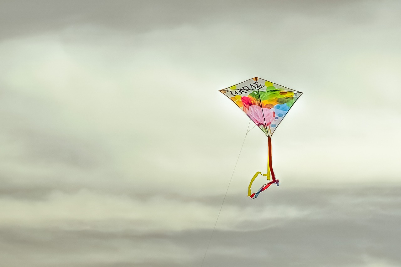Image - kite colorful flying fly sky