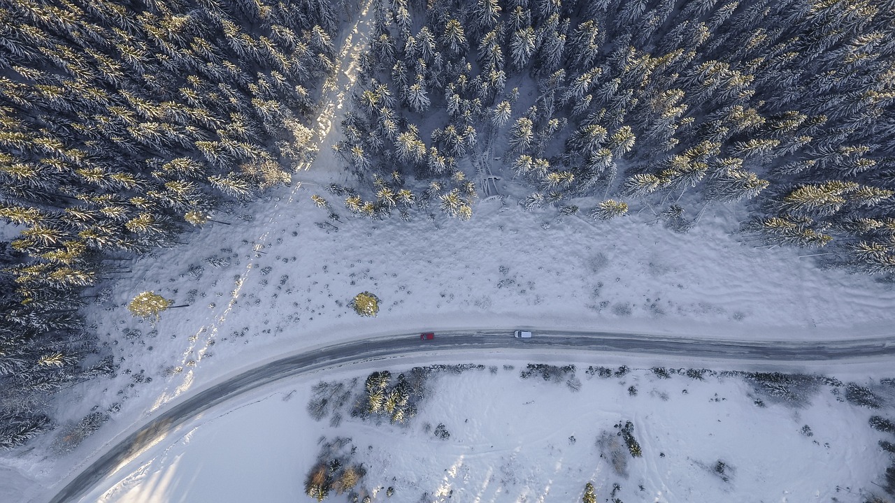 Image - snowy trees road cars forest