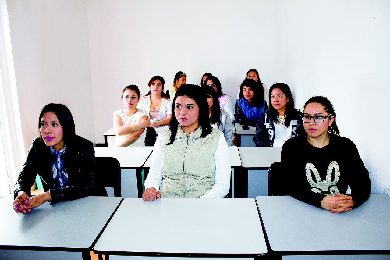 Image - college class students