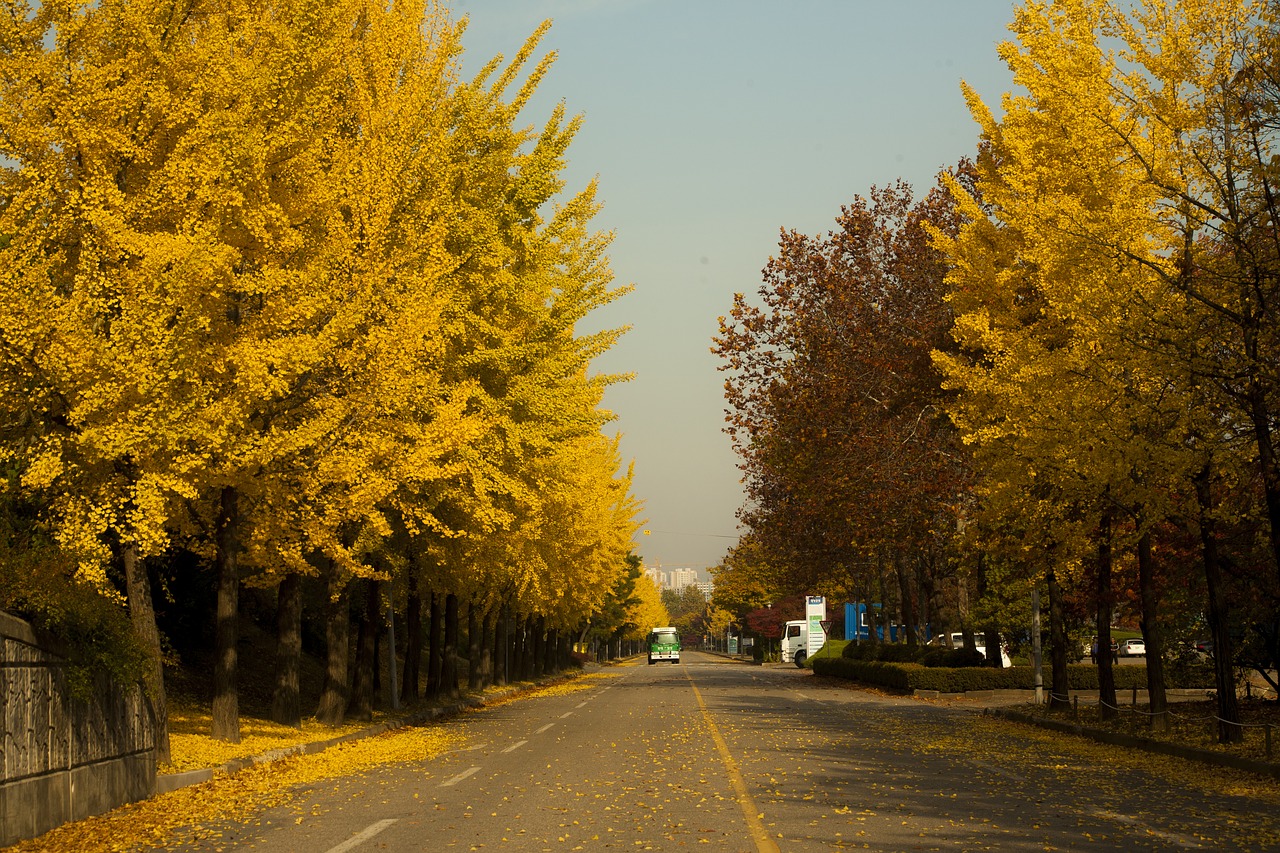 Image - hanam city autumn landscape