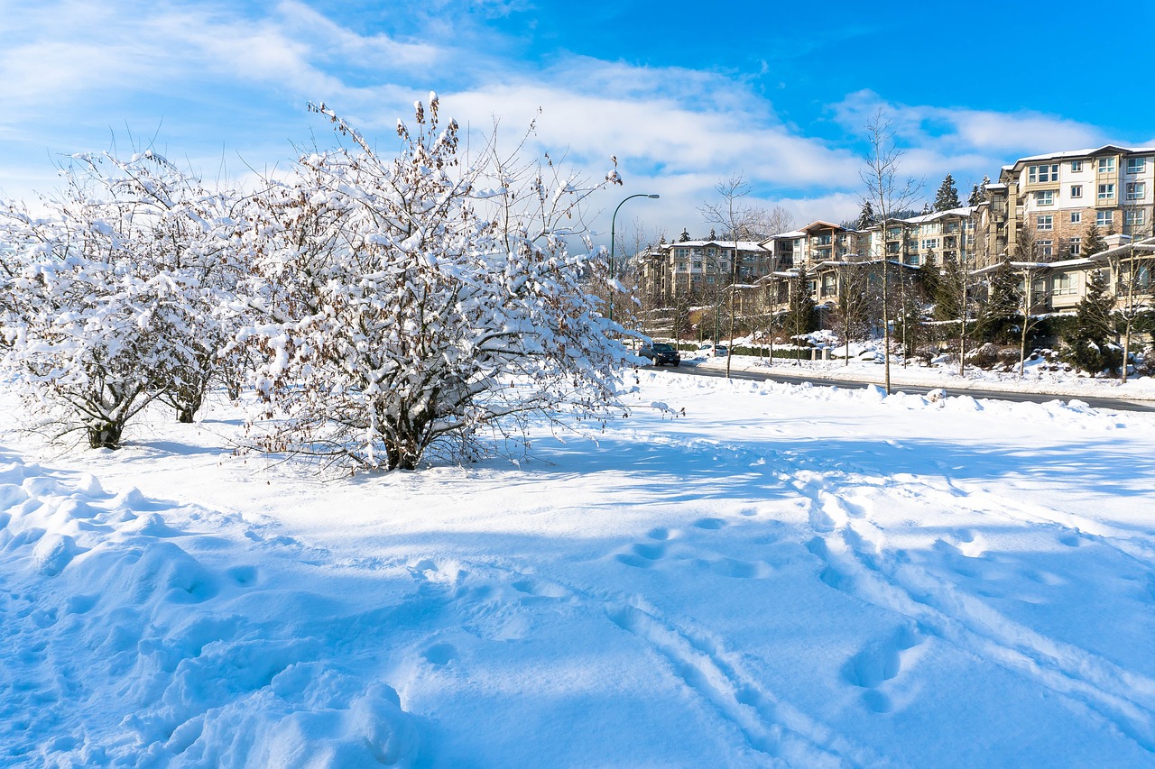 Image - coquitlam town center park