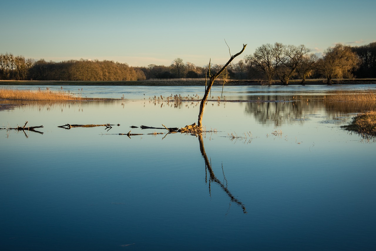Image - high water evening river current
