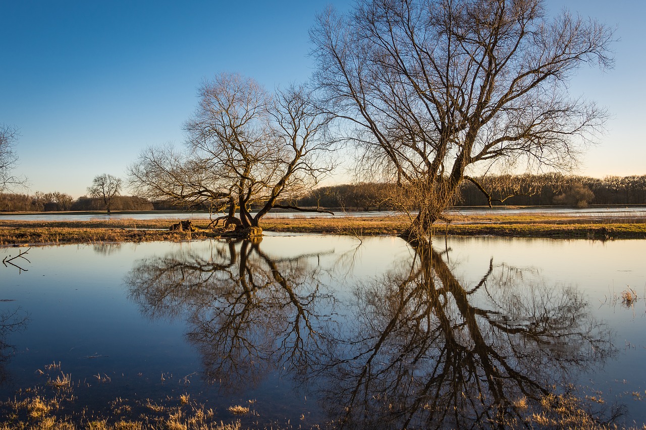 Image - elbe high water evening river
