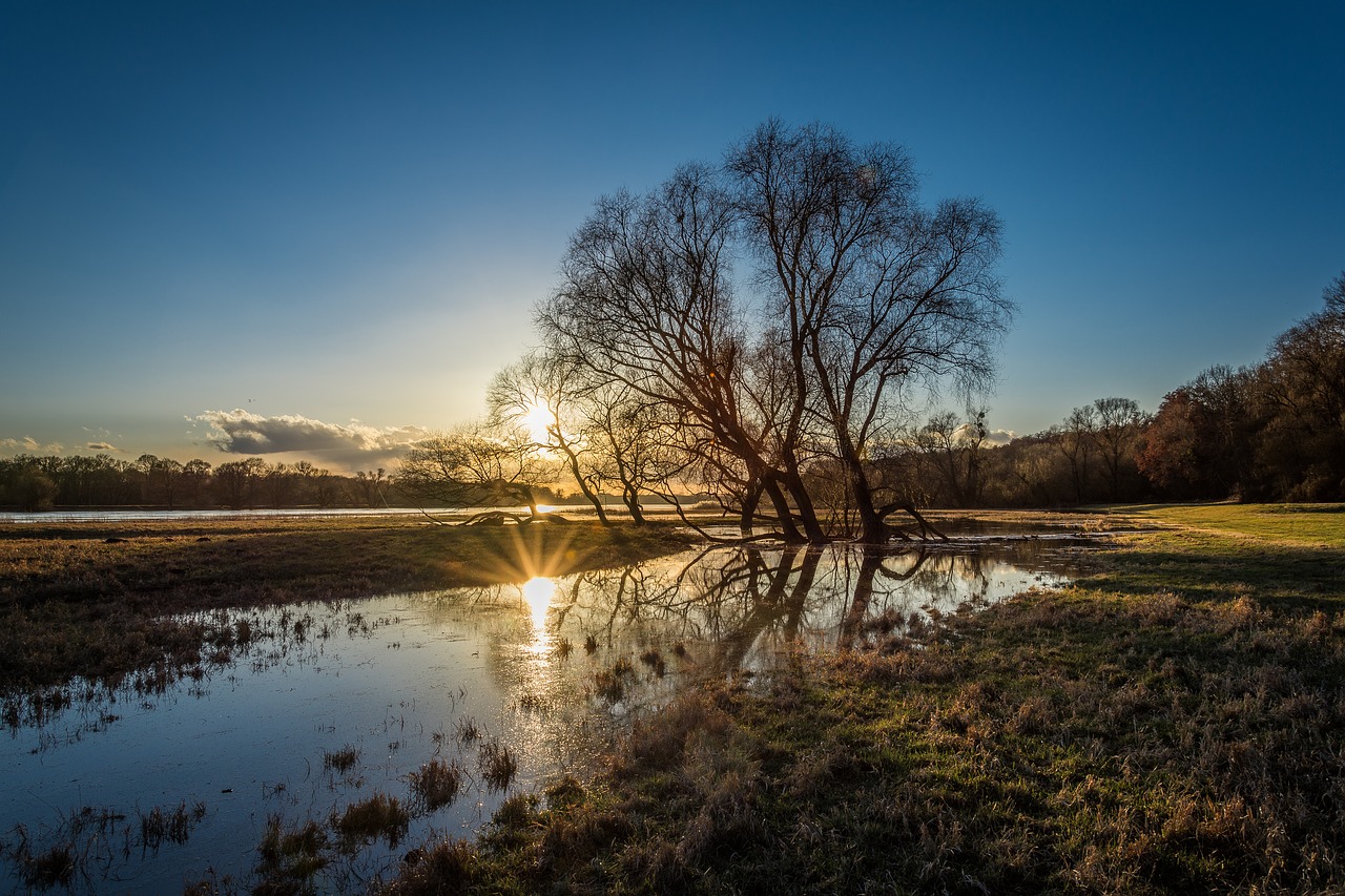 Image - elbe high water evening river