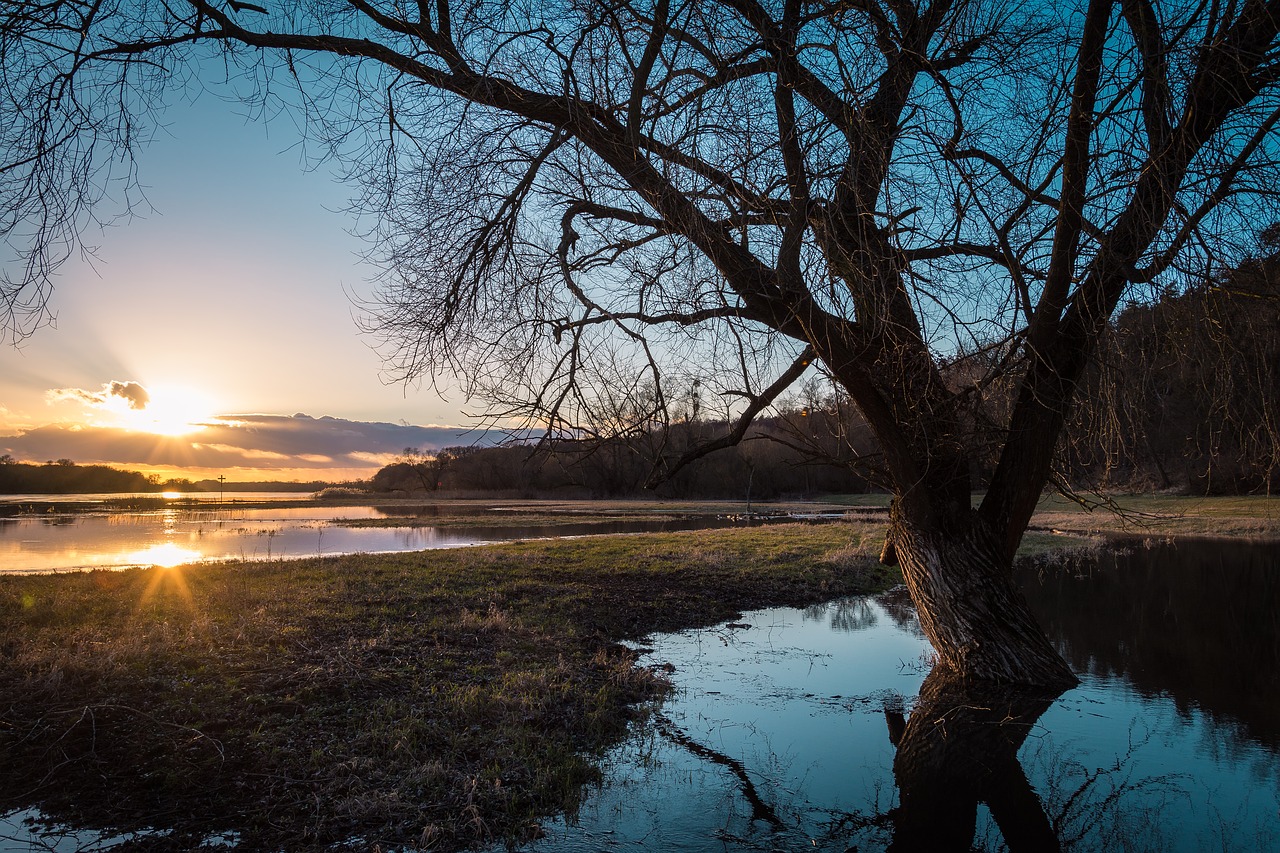 Image - elbe high water evening river