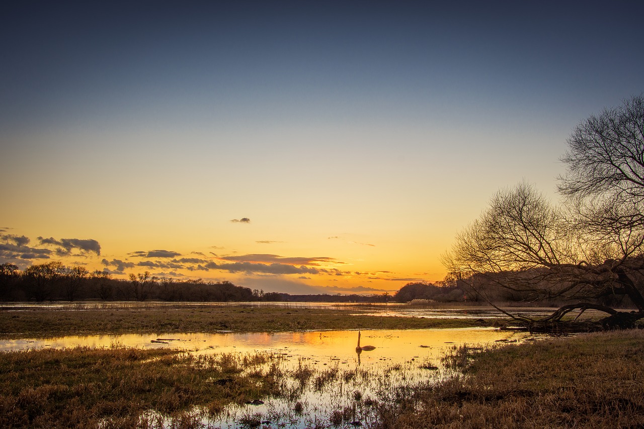 Image - elbe high water evening river