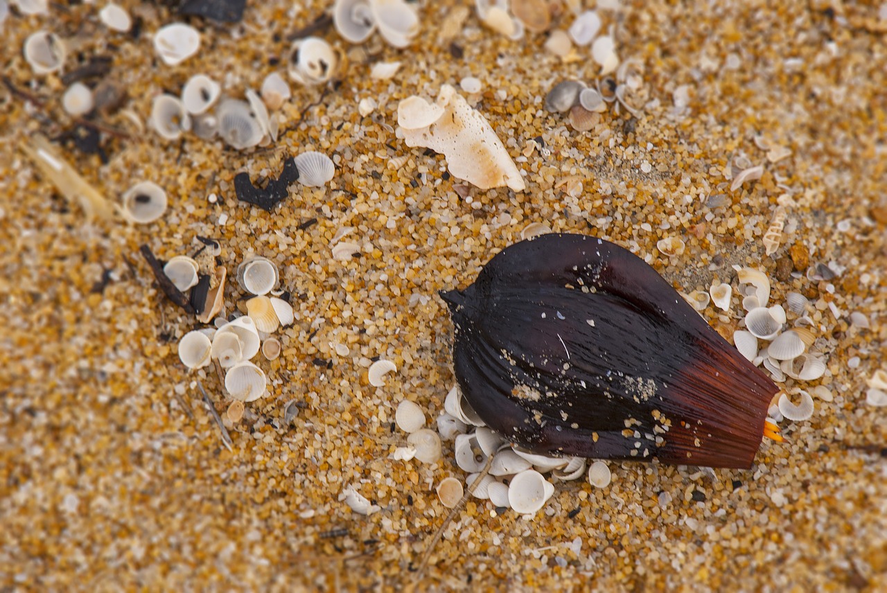 Image - kuala terengganu malaysia