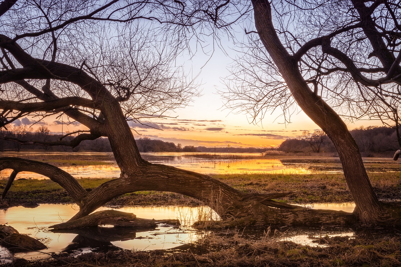 Image - elbe high water sunset farbenspiel