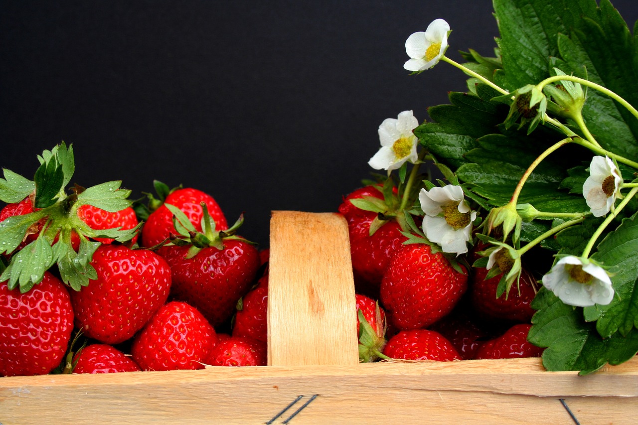 Image - strawberries harvest time field