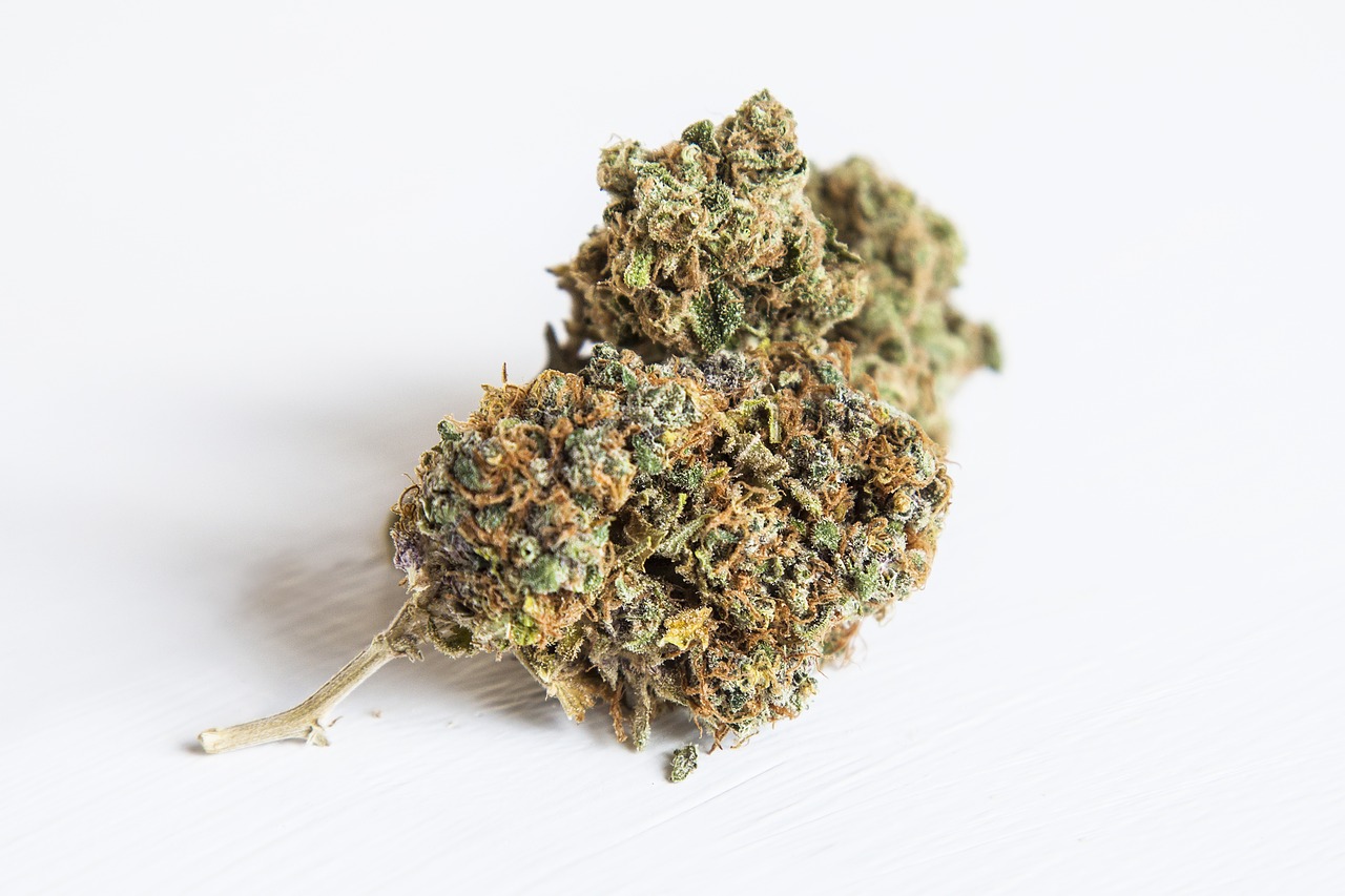 Image - weed ganga marijuana cannabis nug