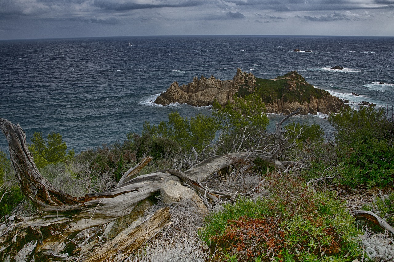 Image - sea tribe ocean idyllic wood