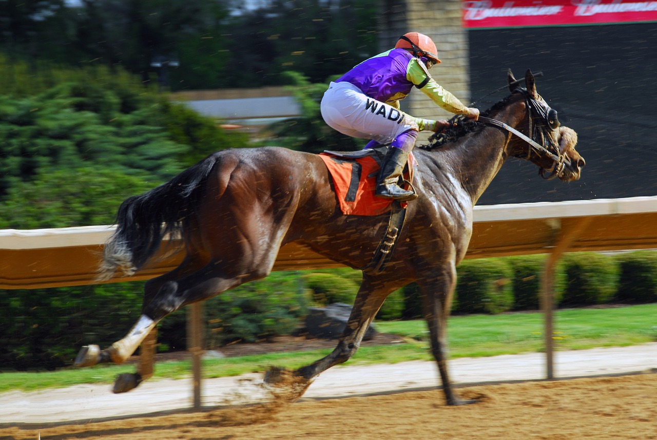 Image - horse racing speed jockey