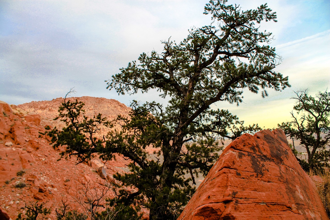 Image - utah red rocks red national park