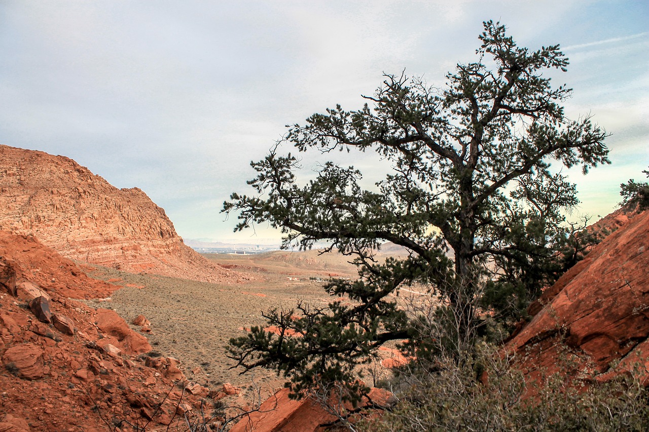 Image - utah red rocks red national park