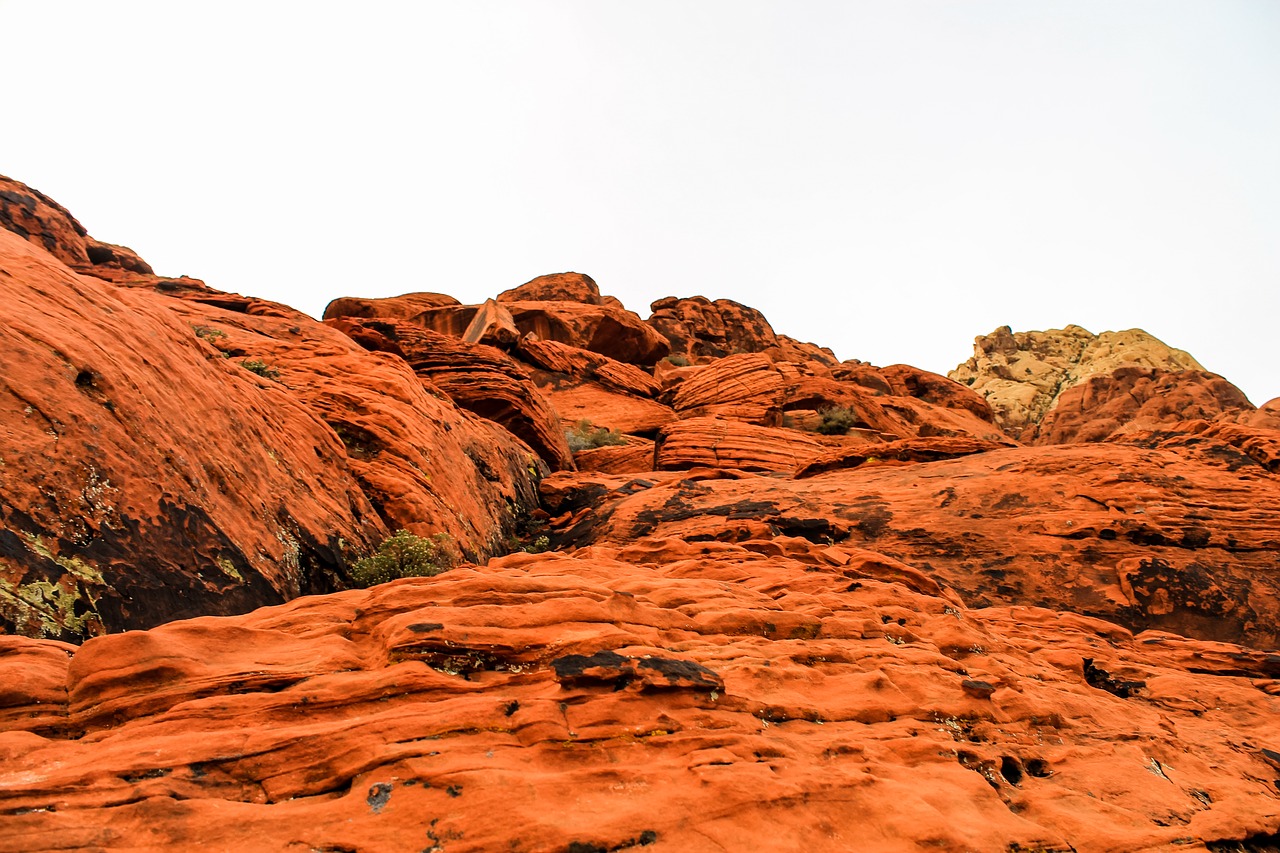 Image - utah red rocks red national park