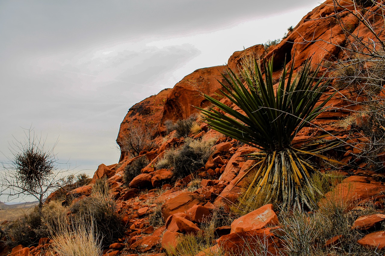 Image - utah red rocks red national park