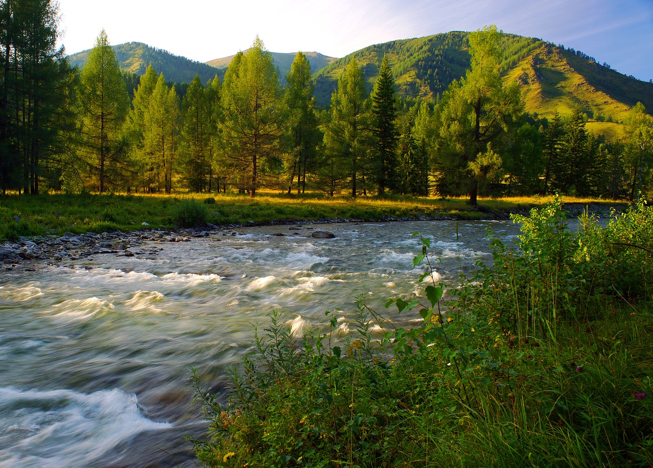 Image - river evening mountain altai
