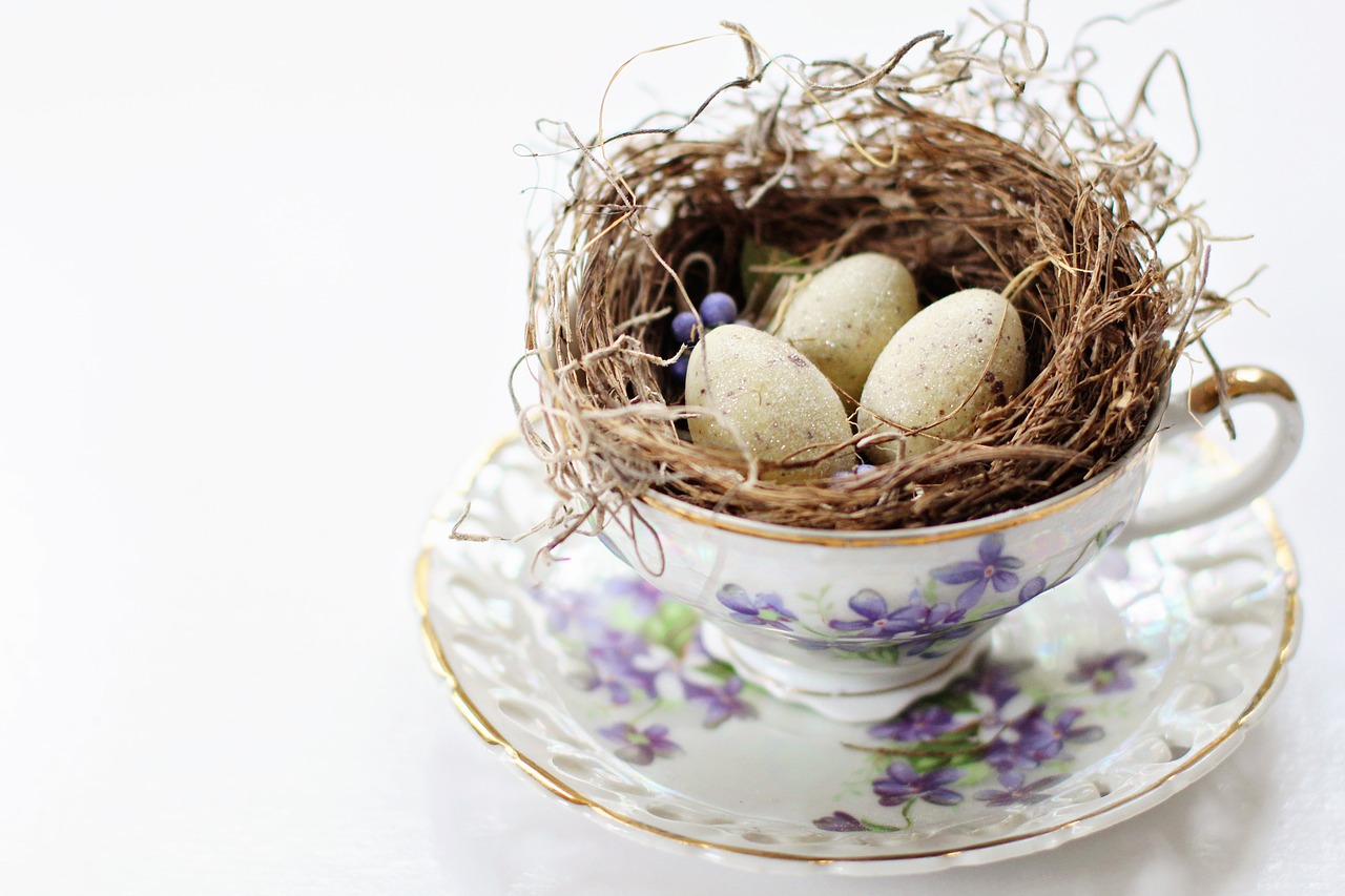 Image - tea cup vintage tea cup bird s nest