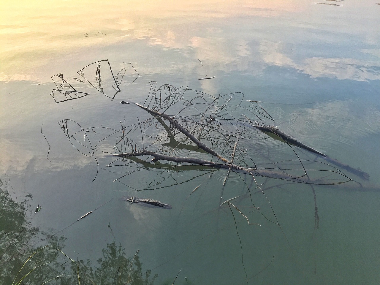 Image - deadwood water reflection