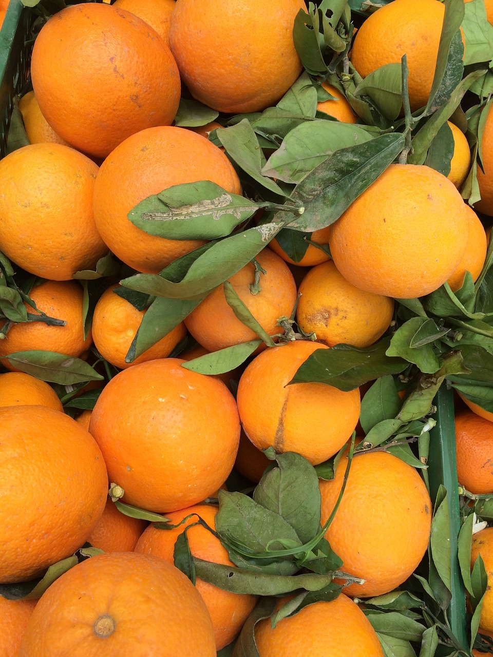 Image - oranges market stall orange nature