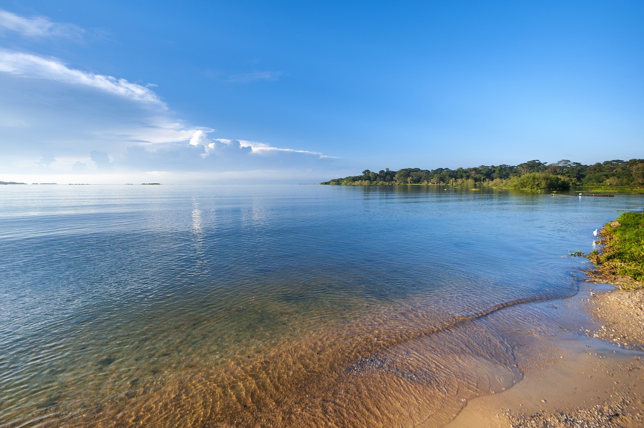 Image - lake victoria beach africa uganda