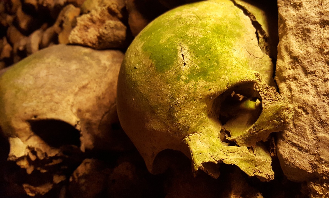 Image - catacombs paris skulls bones