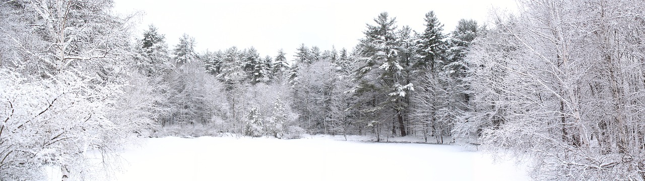 Image - pond winter snow ice white nature