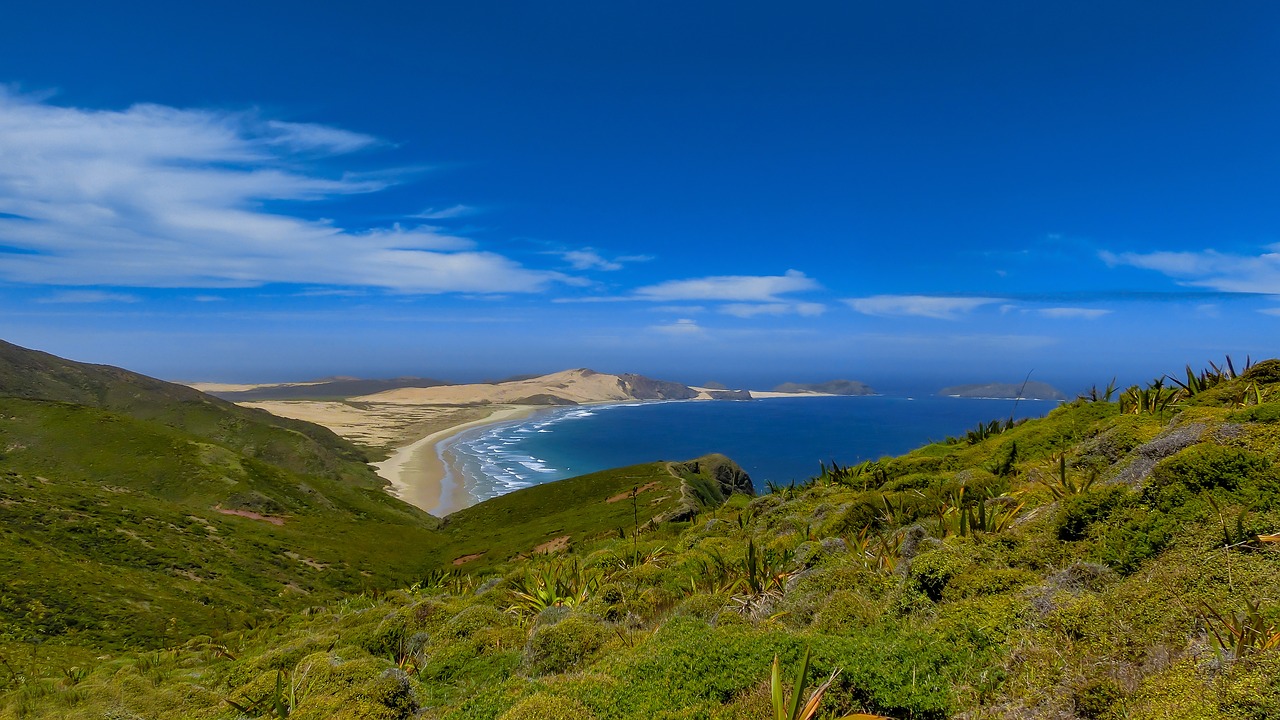 Image - landscape beach coast sea nature