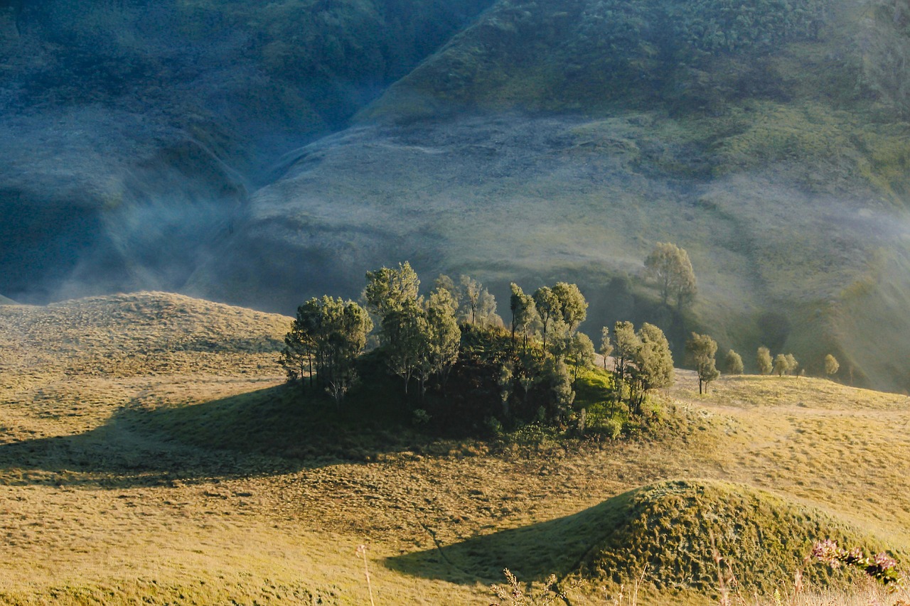 Image - hill morning bromo landscape
