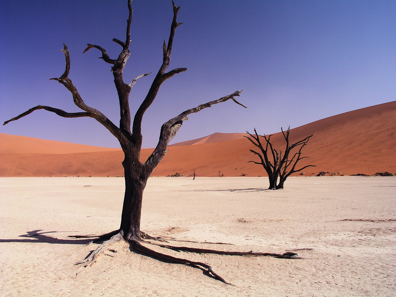 Image - desert drought dry sand