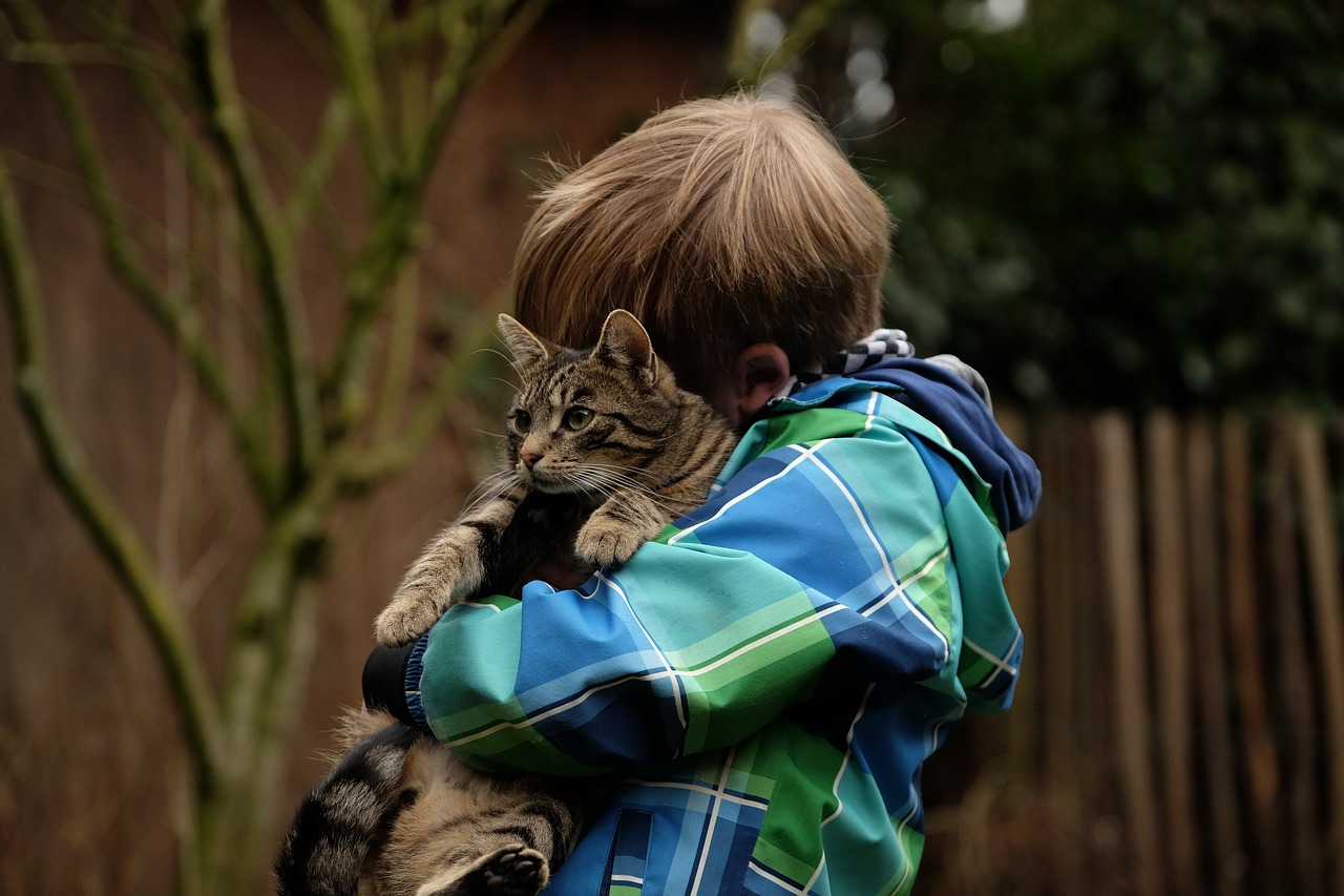 Image - friendship child cat together