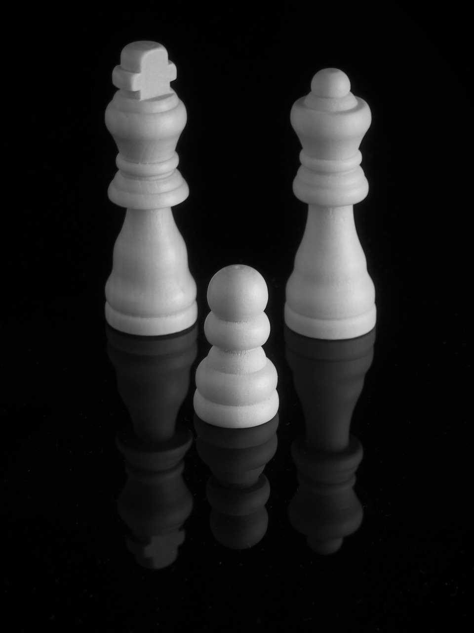 Image - chess pieces king kings bauer