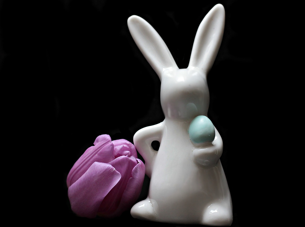 Image - tulip flower hare easter bunny