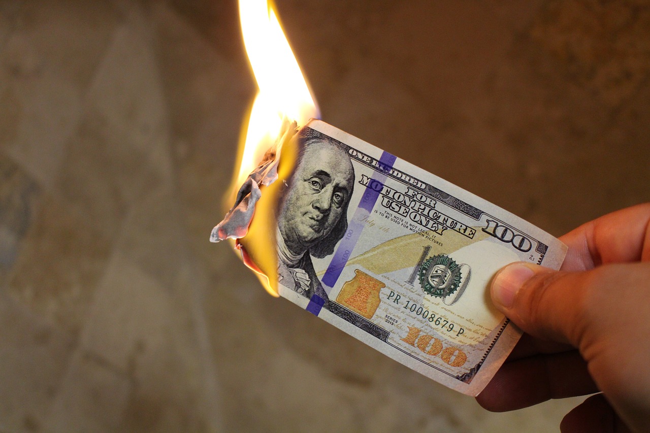 Image - burning money dollars cash flame