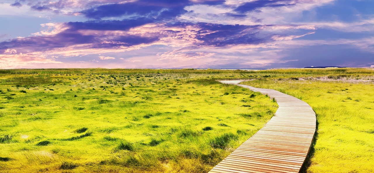 Image - landscape sunny day sky nature