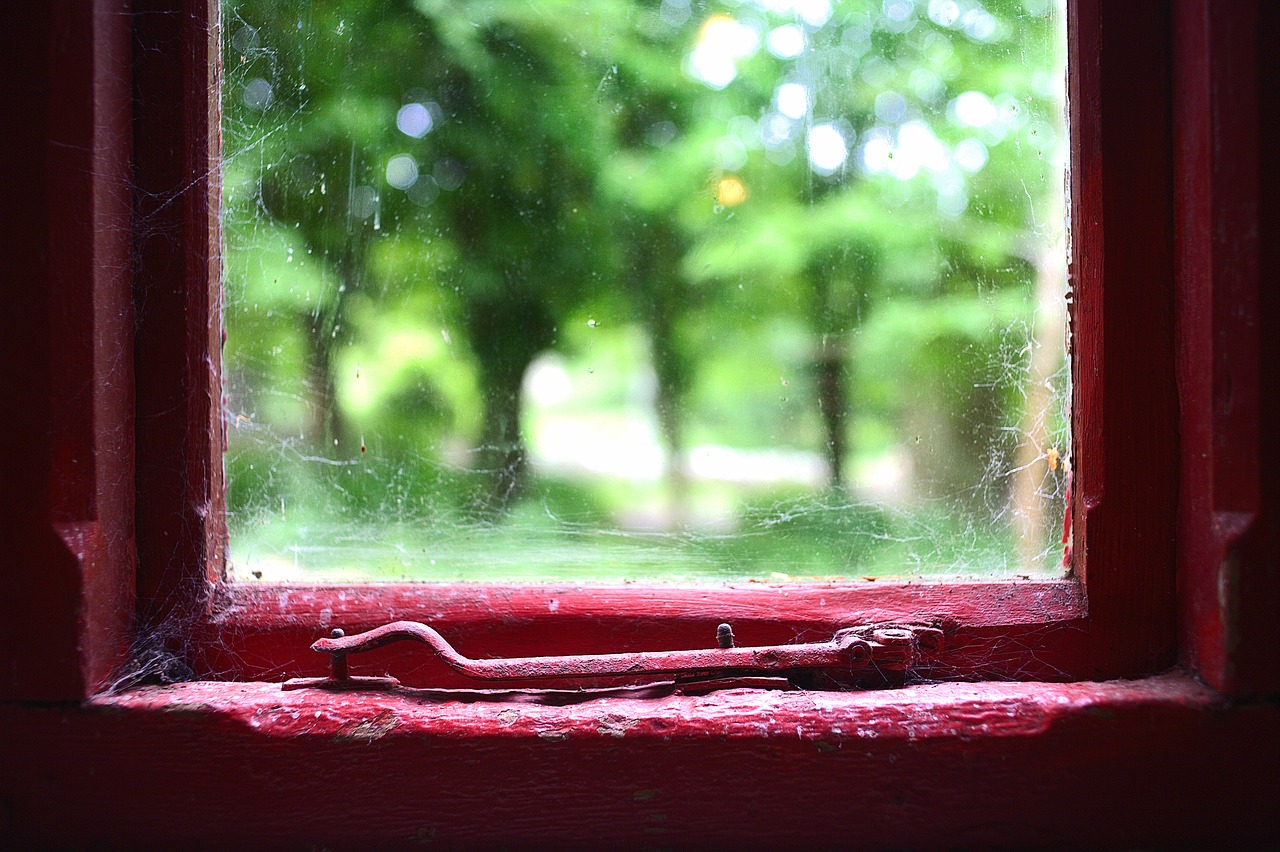 Image - old window red paint green grass