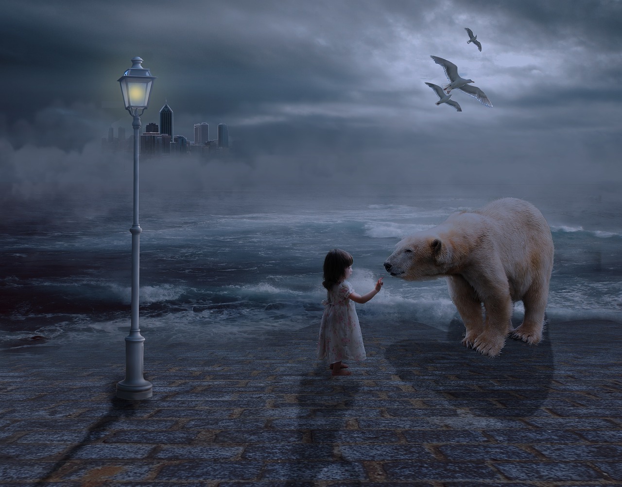 Image - girl bear sunset foggy