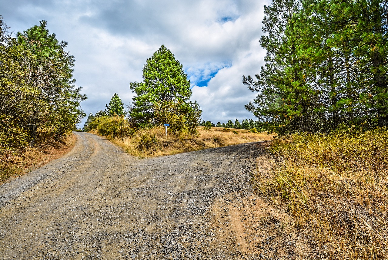 Image - fork road dirt direction path two