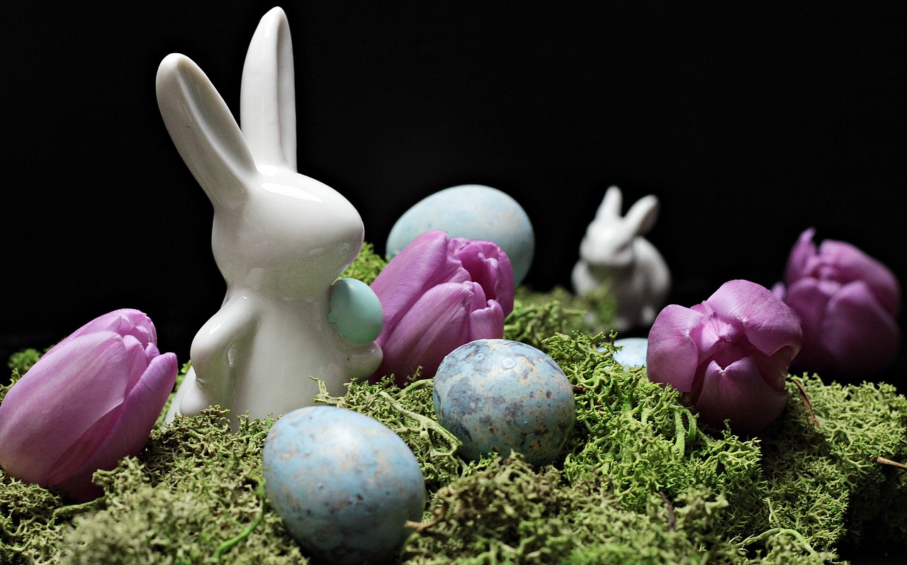 Image - hare easter bunny easter spring