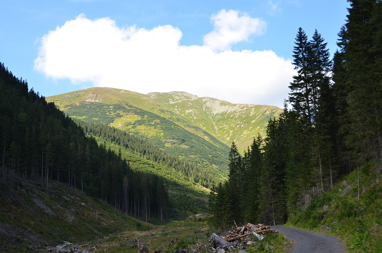 Image - žiarska dolina nature mountains