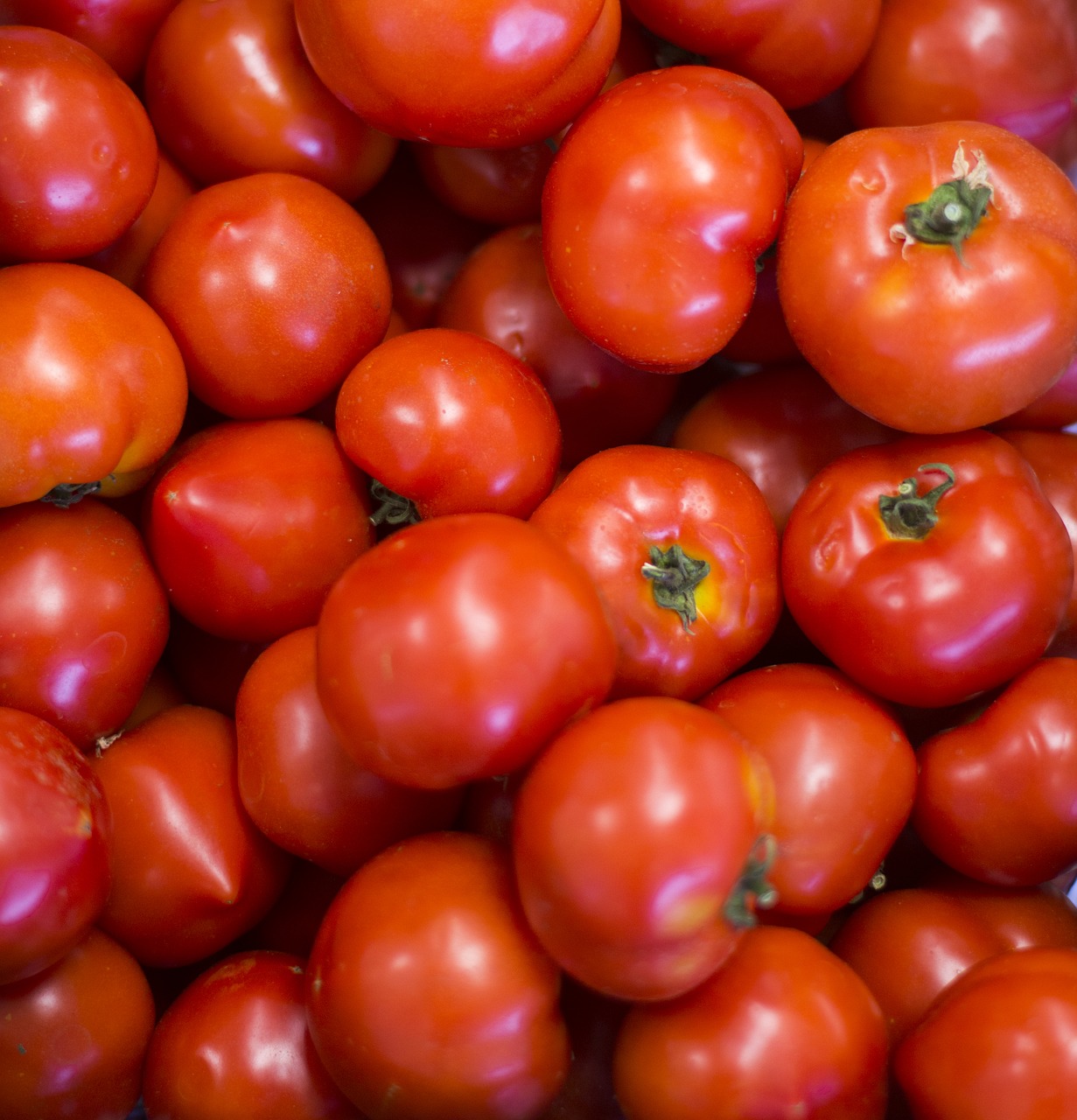 Image - red tomaten tomato vegetables