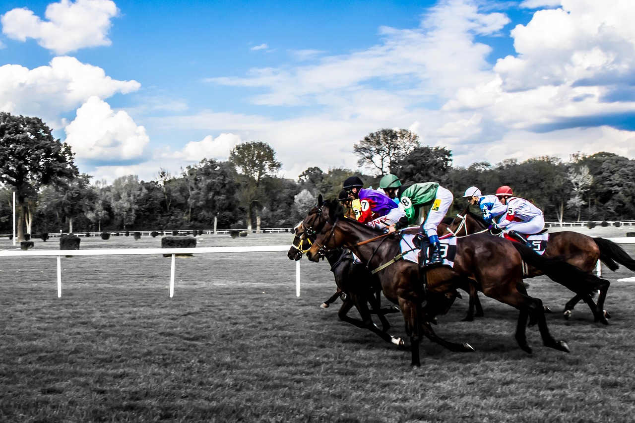 Image - horses race jockey gallop