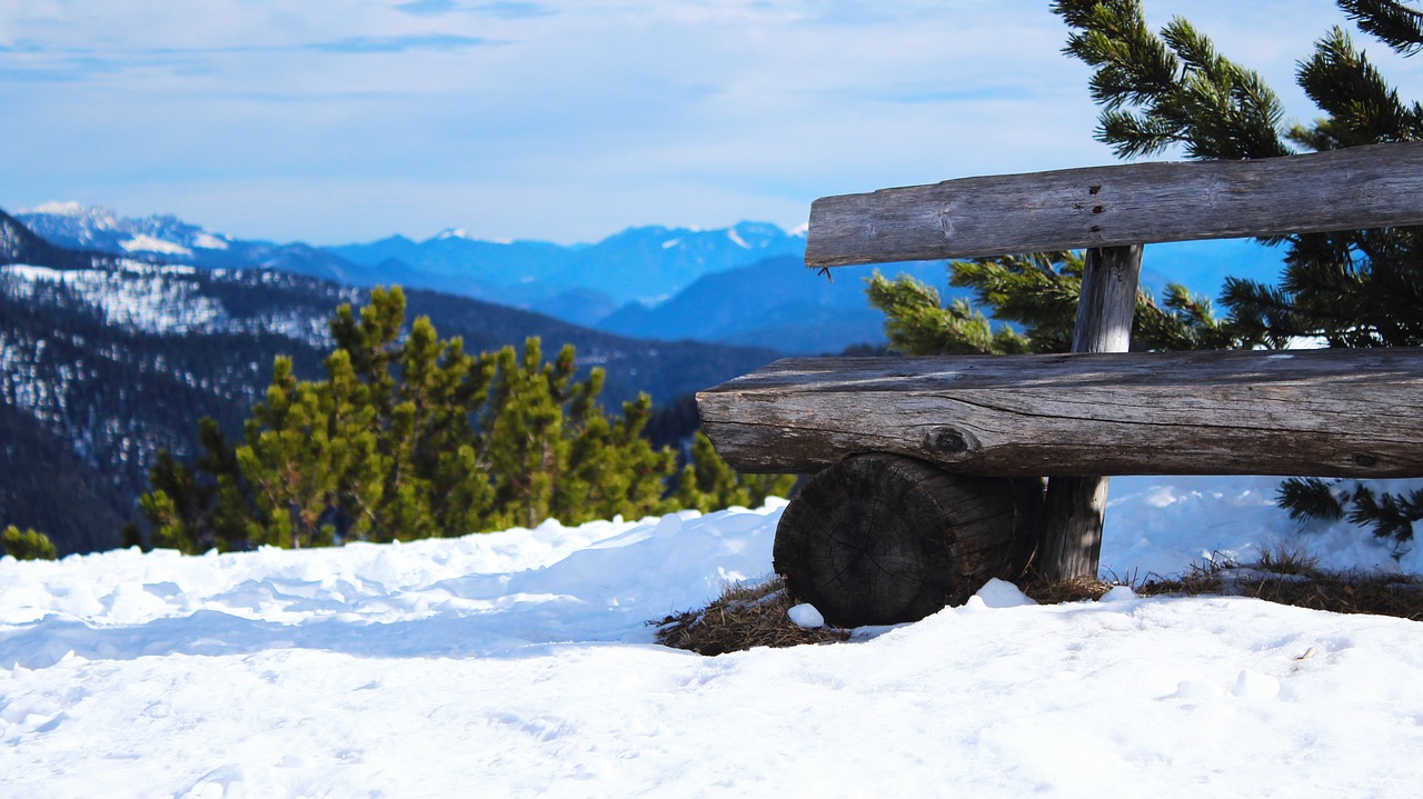 Image - bank mountains wood panorama