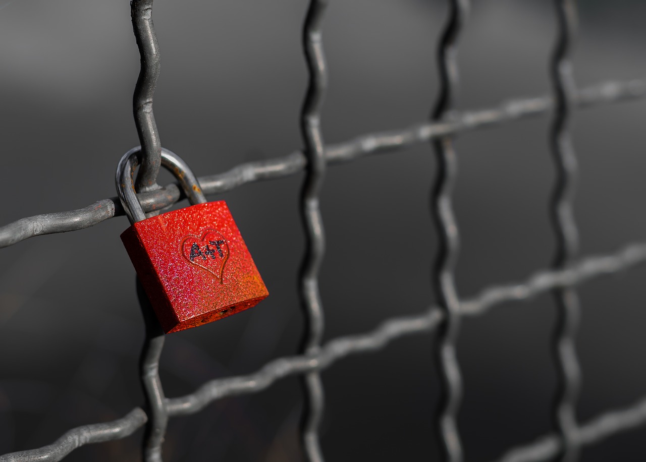 Image - love castle fence padlock