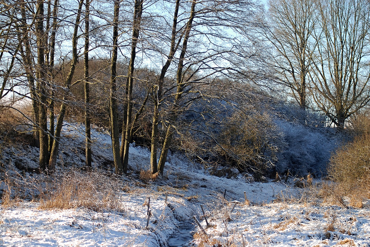 Image - winter trees snow stream nature