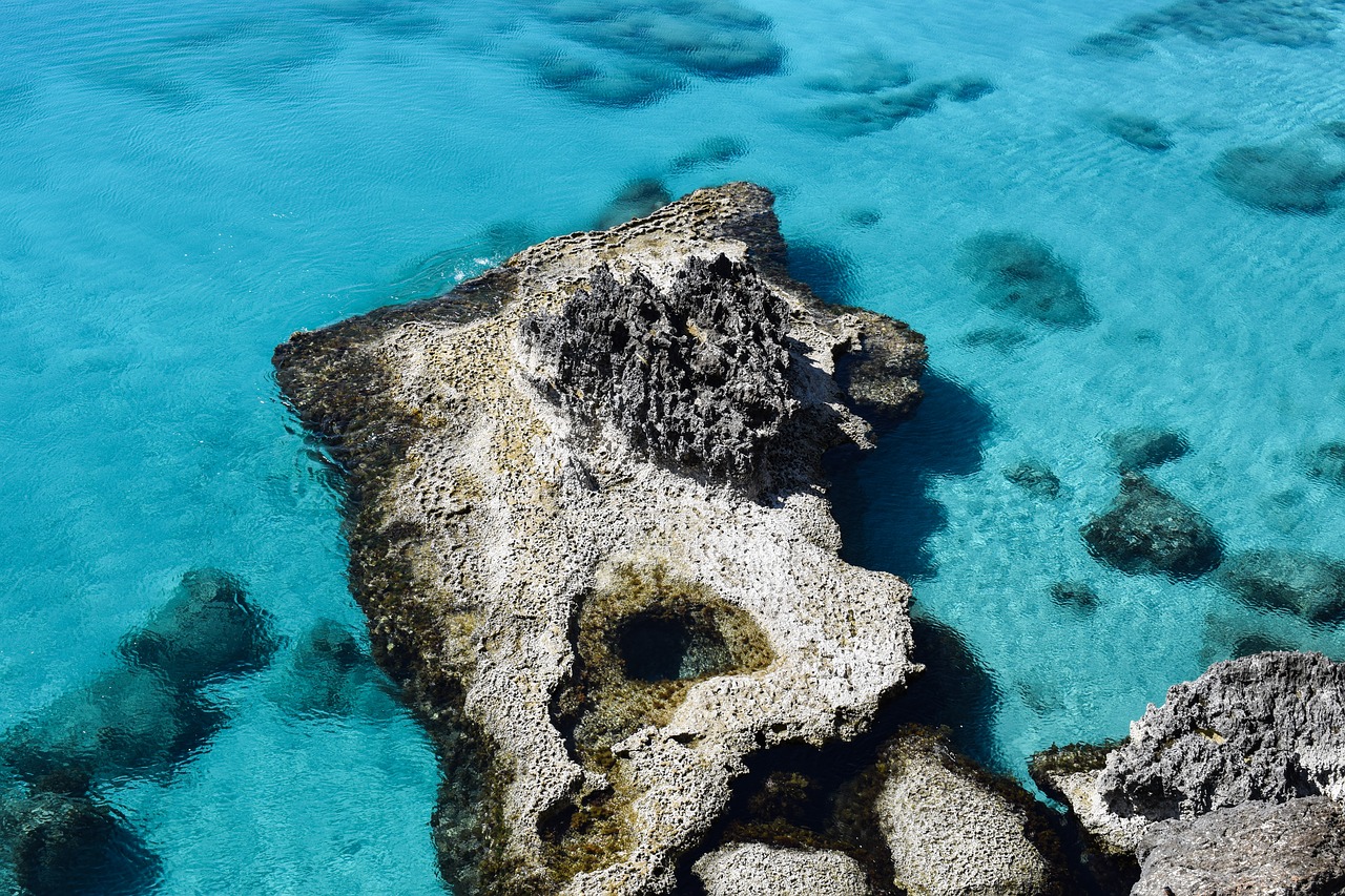 Image - reef rocky coast sea nature water